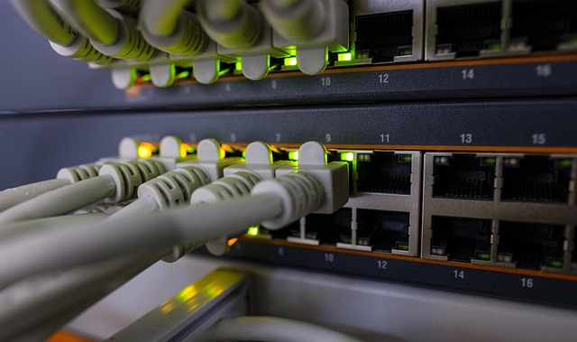 Des câbles RJ45 connectés à un switch
