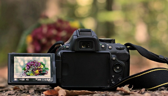 Un appareil photo numérique