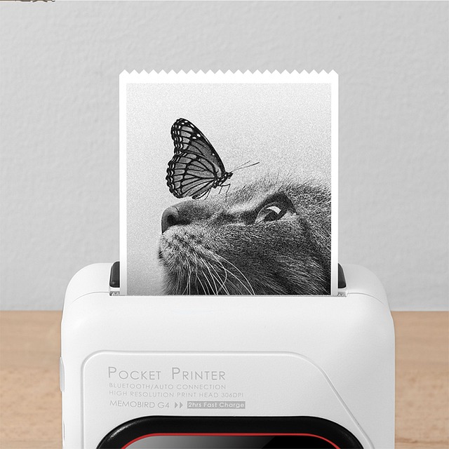 Une mini imprimante qui imprime une photographie avec un chat et un papillon